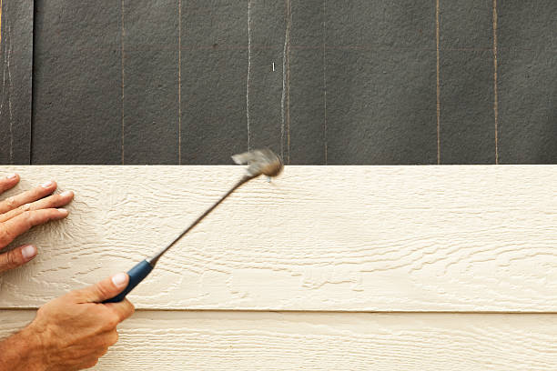 Best Siding Removal and Disposal  in St Augustine Beach, FL